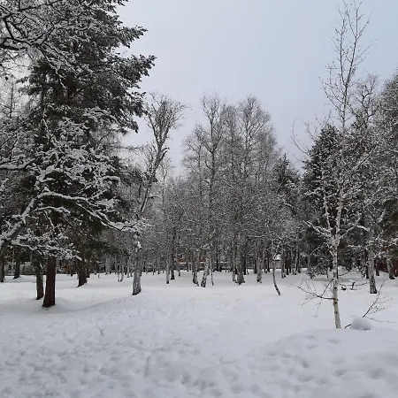 Panoramablick Seefeld 아파트 제펠드 인 티롤